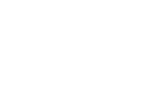 logo flores a domicilio blanco